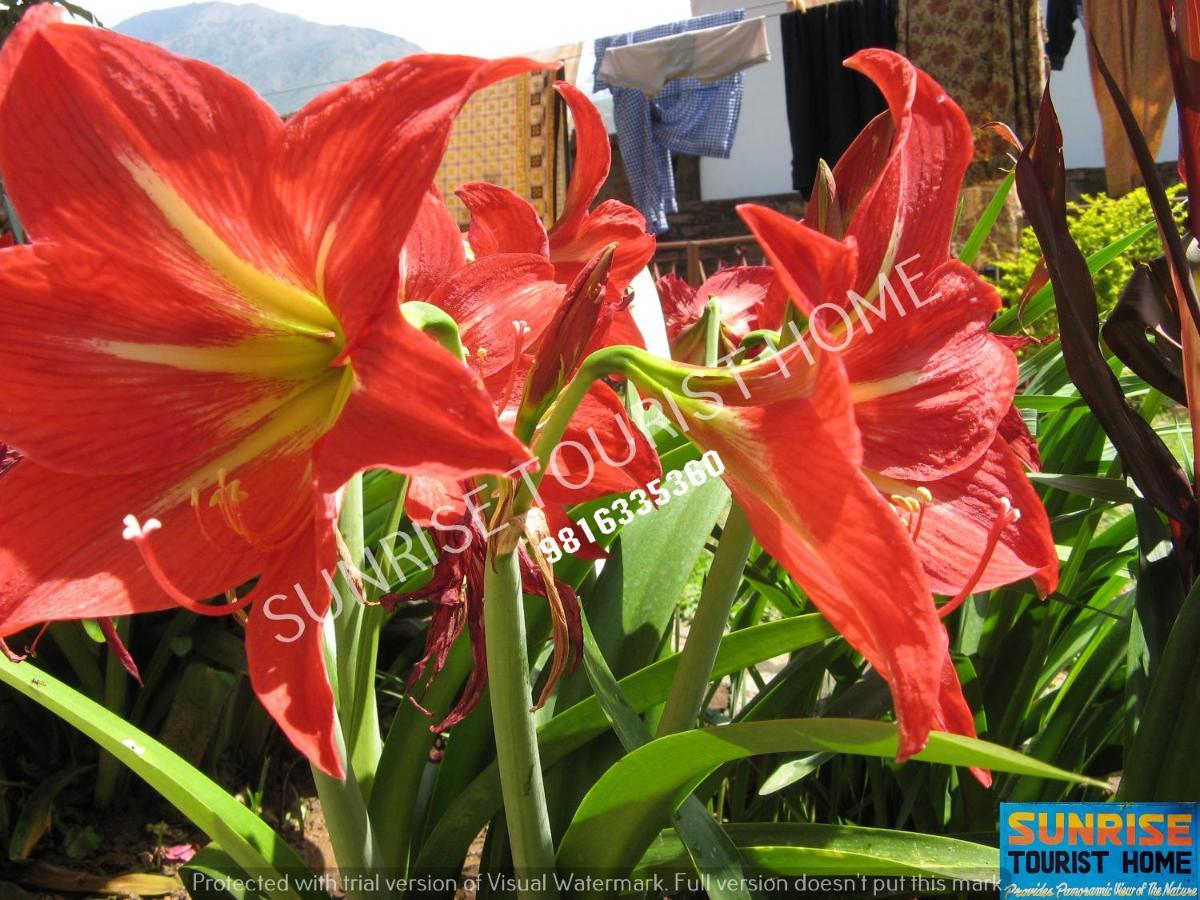 دارامشالا Sunrise Tourist Home المظهر الخارجي الصورة